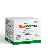Rizoderma
